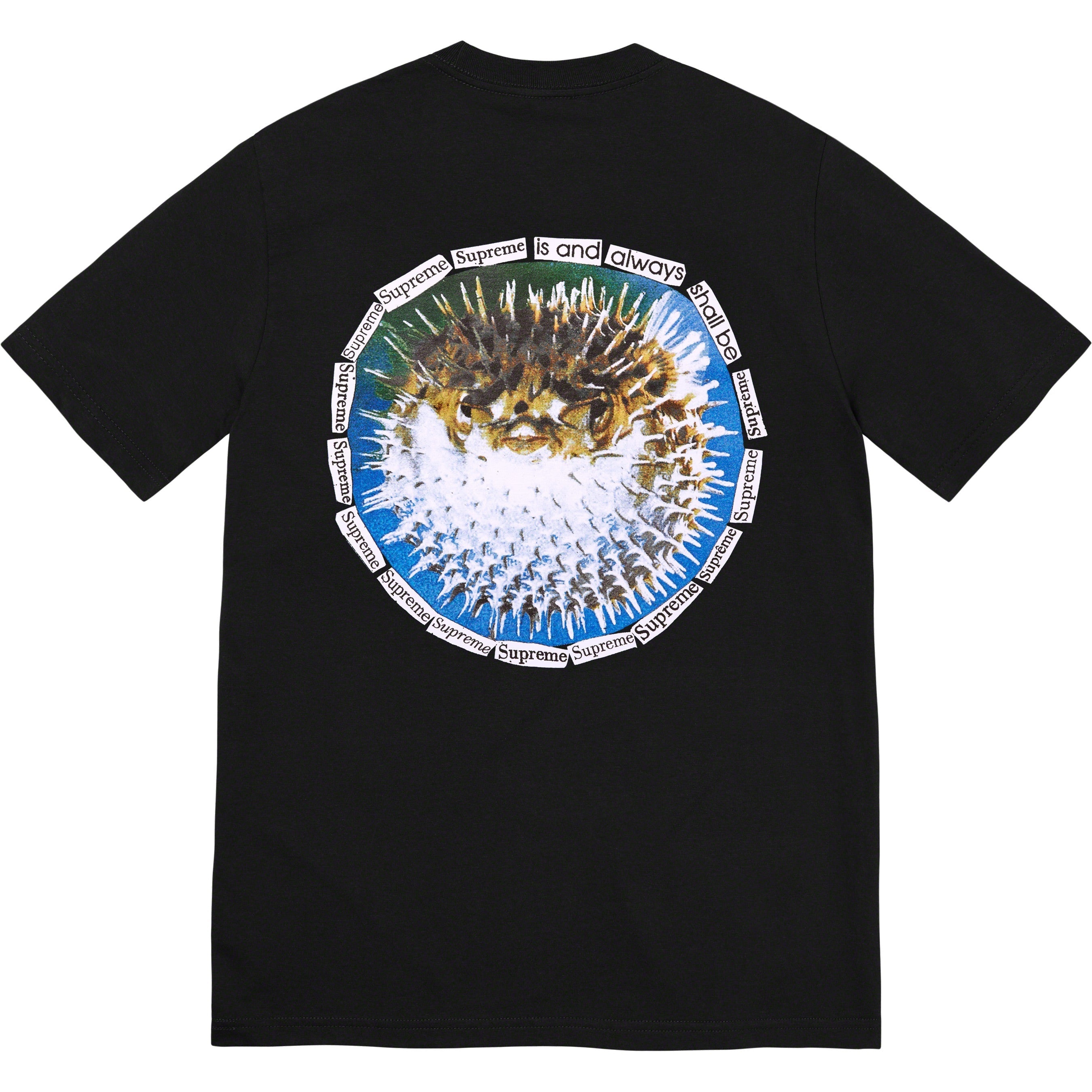 Blowfish Tee view 8